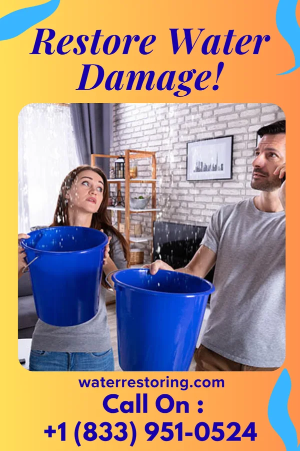 water restoration Stellar Water Cleanup LLC Brice Prairie