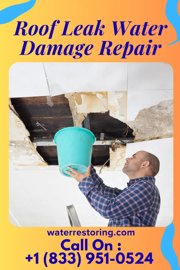 Roof Leak Water Damage Repair in Brice Prairie, WI
