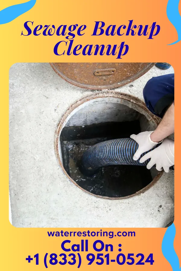 Sewage Backup Cleanup in Brice Prairie, WI